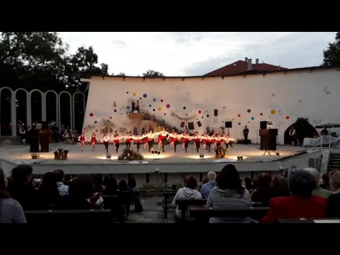 Видео: Благотворителен спектакъл на ансамбъл „Добротица” - „С обич към децата на Добрич”