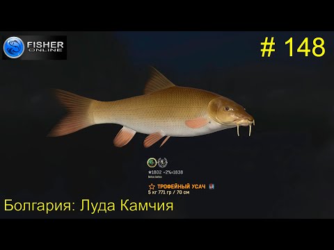 Видео: #148 Болгария:Луда Камчия ч13 Путь к серебру: усач, много крупного. Вылов уникального. Fisher Online