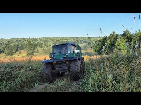 Видео: За щукой #531