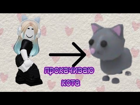 Видео: играем в adopt me, прокачиваем моего кота