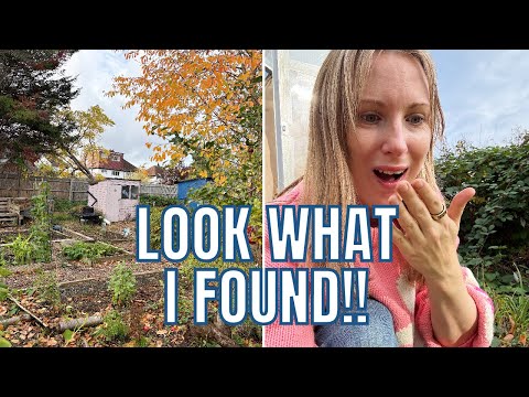 Видео: ПОСМОТРИТЕ, ЧТО Я НАШЕЛ!! / САДОВОДСТВО И УХОД ЗА ДАЧАМИ ВЕЛИКОБРИТАНИИ