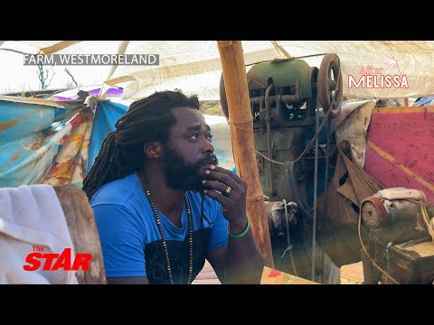 Видео: Разбитые, но не сломленные — семья Уэстморленд цепляется за надежду, обманув смерть во время «Мел...