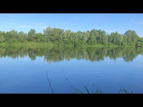 Видео: Рыбалка на ОКЕ / Не МОГЛИ достать РЫБУ 20 минут / ФИДЕР на сильном течение