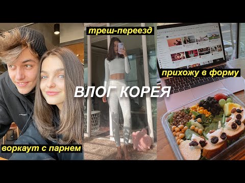 Видео: МОДЕЛИНГ В КОРЕЕ влог | Треш в модельных апартаментах | 14 февраля  | Тренировка с парнем