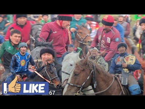 Видео: Дуйшондун дунгурогон улагы