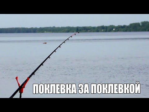 Видео: Рыбалка в июне на реке Волга. ПОЙМАЛИ КУЧУ РЫБЫ! Рыбалка с ночевкой 2025. Ловля Леща на Фидер ДОНКУ.