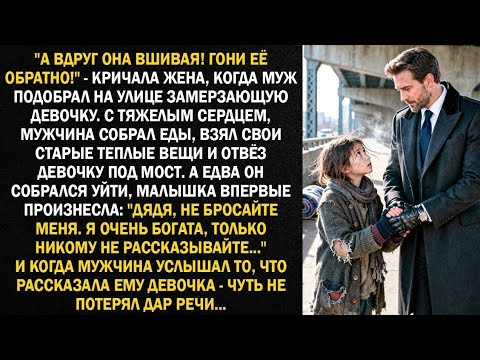 Видео: "А вдруг она вшивая! Гони её обратно!" - кричала жена, когда муж подобрал на улице замерзающую...