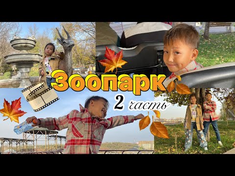 Видео: Vlog🎞️Күзгі 🍁🍂Зоопарк🦒🐆🐢🦓Алинур&Көзайымды жыландарға апардым☺️🤫🫠Шымкент🍁🍂