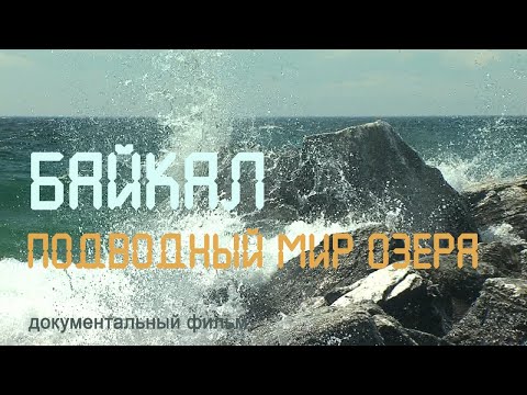 Видео: Сибирь. Подводный мир Байкала. Бычок-желтокрылка. Остров Ольхон. Эндемики Байкала. Nature of Russia.