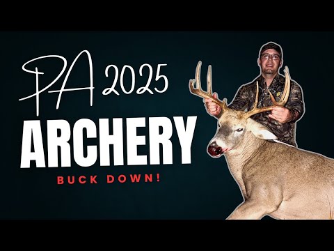 Видео: Большой Пенсильванский олень повержен! — Охота с луком на белохвостого оленя