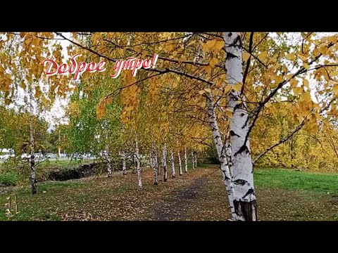 Видео: Доброе утро  Утро осени нарядной