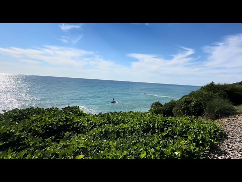 Видео: Купаемся в море в Сочи, октябрь 😍☀️ 🌊 Сезон продолжается 😇🤲🏻 Готовим торт 🍰 И идем на День Рождения