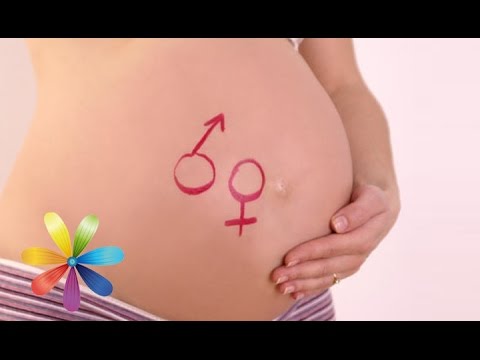 Видео: Кого вы хотите – мальчика или девочку? - Все буде добре - Выпуск 582 - 14.04.15