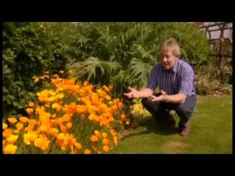 Видео: Сады английских садовников #6