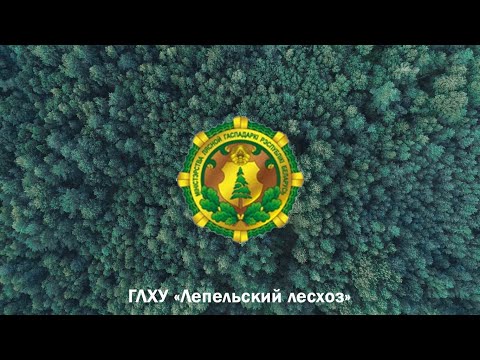 Видео: Лепельский лесхоз | Презентационный фильм