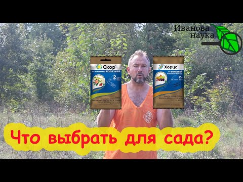 Видео: ОБРАБОТКА САДА ОТ БОЛЕЗНЕЙ: что выбрать: Хорус или Скор? Рекомендации для всех случаев.