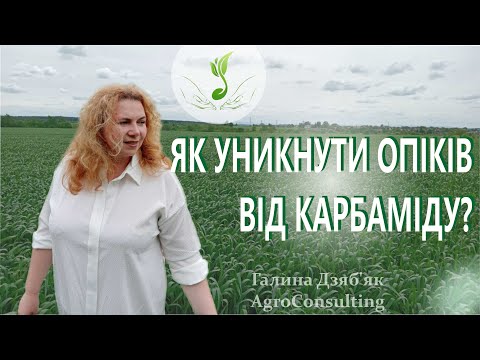 Видео: Позакореневе підживлення карбамідом. Мої правила внесення