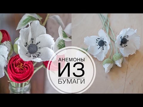 Видео: Paper anemones or poppies / Анемоны или мак из бумаги /  DIY Tsvoric