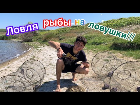 Видео: Ловля рыбы на две огромные ловушки(верши). Улов за 24 часа. Такого не ожидал…!