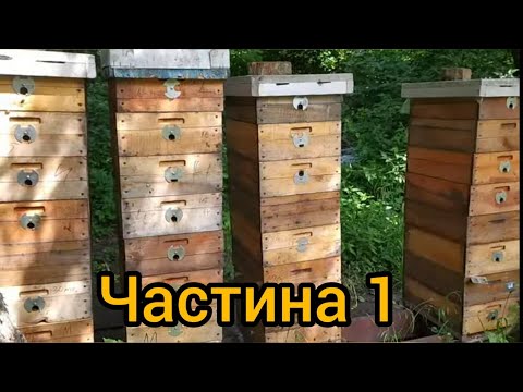 Видео: Утримання бджіл на 145 системі ( 8 рамок) - Частина 1