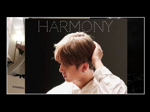 Видео: Harmony || Со Чанбин и Т/и || Фанфик || Серия 1 || HWANGNIKI.