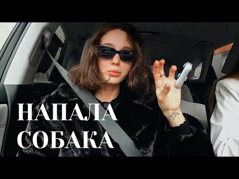 Видео: VLOG ♡ На меня напала собака! Модельные съемки, стала ведущей TED, шоппинг, Нью Йорк.