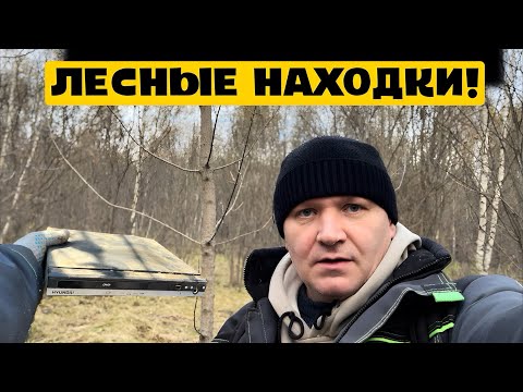 Видео: ЛЕСНЫЕ НАХОДКИ!