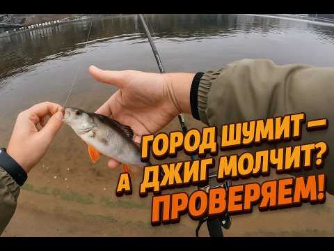 Видео: Город шумит — а джиг молчит? Проверяю!