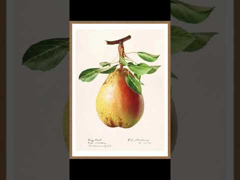 Видео: Тётя Груша