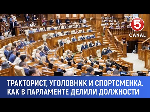 Видео: Тракторист, уголовник и спортсменка. Как в парламенте делили должности