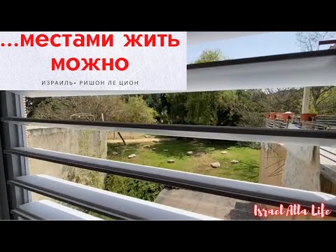 Видео: Дешевые квартиры в Ришон Ле Ционе. Полуподвалы и прочие плюшки