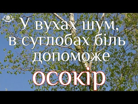 Видео: У вухах шум, в суглобах біль  - допоможе ОСОКІР