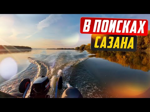 Видео: В поисках САЗАНА / Захватывающая рыбалка на реке Обь