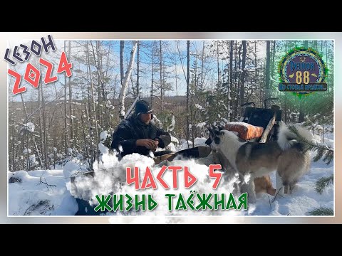 Видео: Регион 88 | Сезон 24 - Жизнь таёжная - часть 5