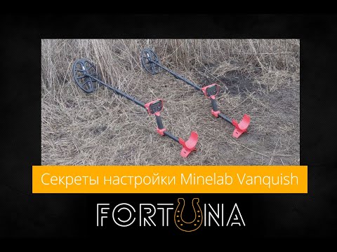 Видео: Секреты настройки Minelab Vanquish