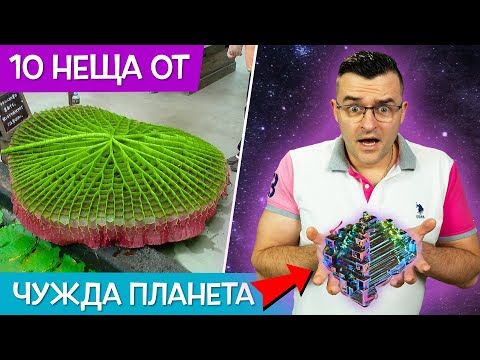 Видео: 10 НЕЩА, които ИЗГЛЕЖДАТ като от ДРУГА ПЛАНЕТА