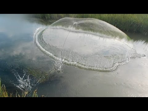 Видео: Кастинговая сеть 25-ка, после перепадов уровня воды. 
