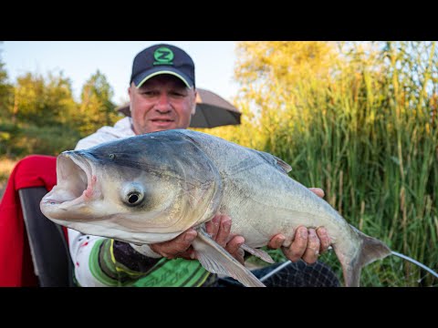 Видео: Супер монтаж для ловли толстолобика! часть 2