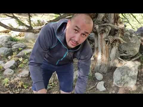 Видео: Душанбе#Шахринав#Карон#Хакими#Хочи Хасан#Перевал Мура (вторая часть)