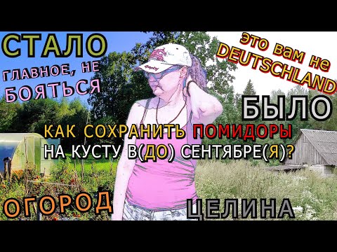 Видео: #43 ОТВЕТ - В РОЛИКЕ/ЧАСТЬ1/У НАС ВЕСНА - В НАЧАЛЕ СЕНТЯБРЯ/НЕМ.ОГОРОДНЫЙ ОГОРОД В РОЛИКЕ ПРО ОГОРОД