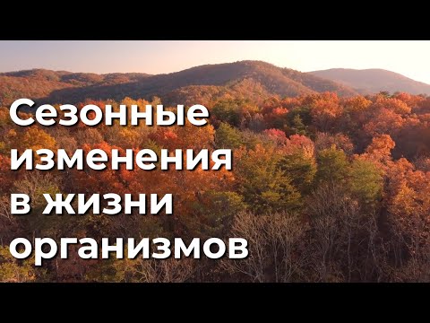 Видео: Сезонные изменения в жизни организмов 5 класс