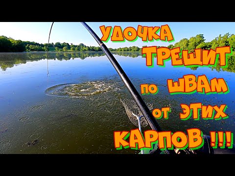 Видео: Ловля ОГРОМНЫХ КАРПОВ на БОКОВОЙ КИВОК ! РЫБАЛКА с ЛОДКИ на ЖМУРКУ .