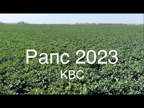 Видео: РАПС 2023. ЧАСТЬ 2