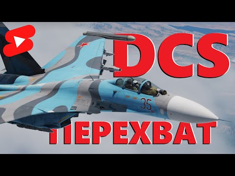 Видео: ✈️ Пилотам приготовиться #dcs #dcsworld #vr #shorts