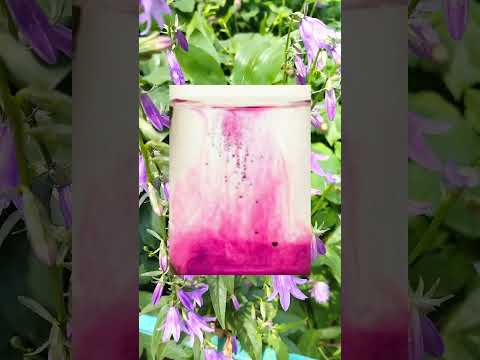 Видео: Польза марганцовки для  растений 🌱🌹 Potassium permanganate.