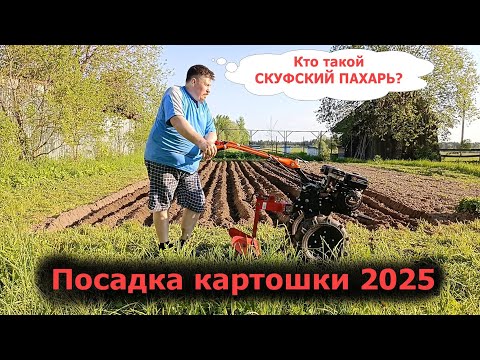 Видео: Огород - Посадка картошки 2025