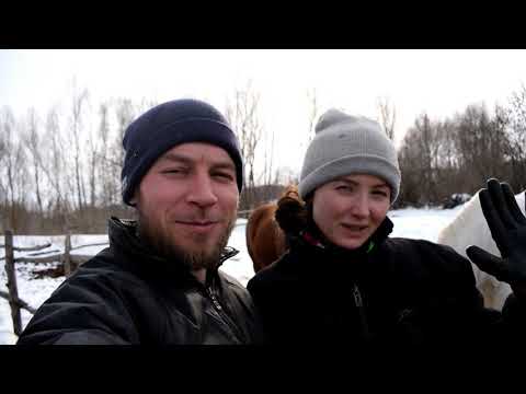 Видео: К ЭТОМУ МЫ ТОЧНО НЕ БЫЛИ ГОТОВЫ. ХОЗЯЙСТВО БЫСТРО ПОПОЛНЯЕТСЯ.