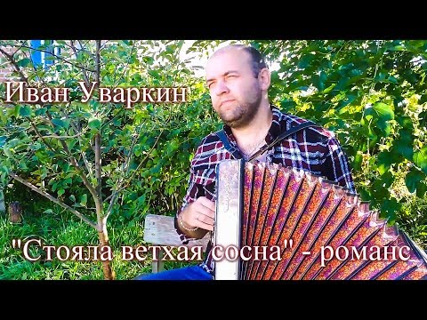 Видео: Песня под гармонь "Стояла ветхая сосна". Поёт Иван Уваркин. Russian folk song