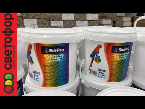 Видео: СВЕТОФОР Беларусь🚦🔥Отличный ЗАВОЗ в этот Раз!😳🚦Светофор МИНСК, Беларусь