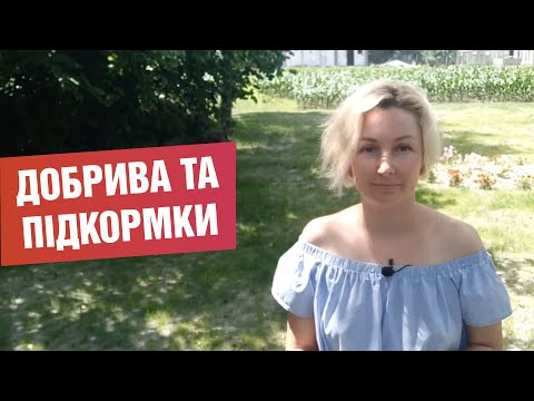 Видео: Як підживити рослини, які добрива та підкормки використовую для городини?